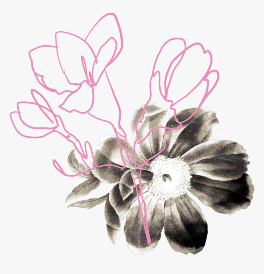 Webflowers1-01 - Artificial Flower, HD Png Download, Free Download