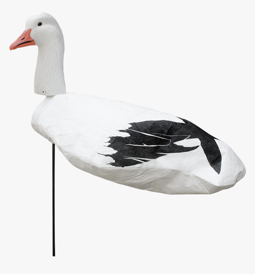 White Rock Decoys, HD Png Download, Free Download