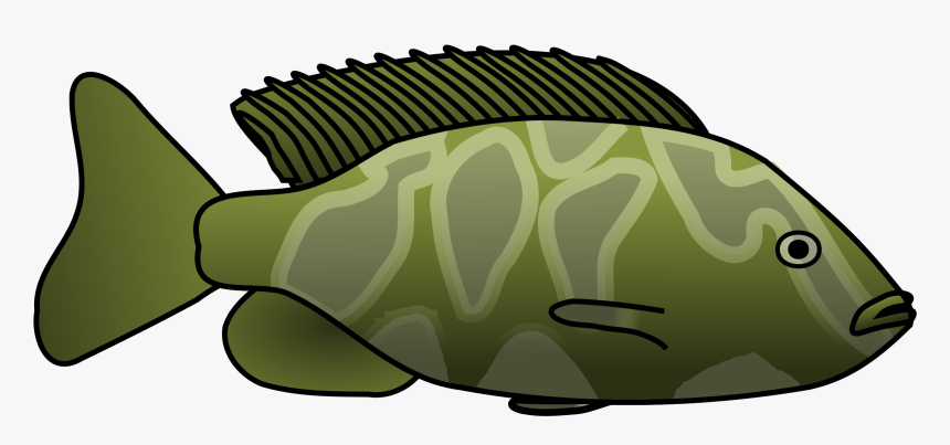 Cichlid Clipart, HD Png Download, Free Download