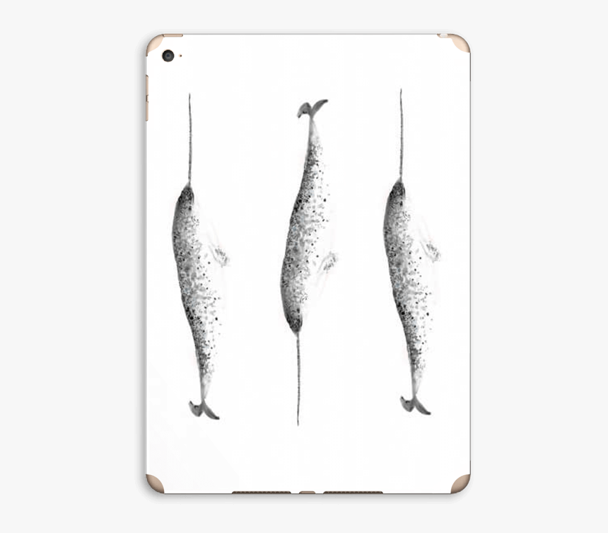 Narwhale Skin Ipad Air - Monochrome, HD Png Download, Free Download