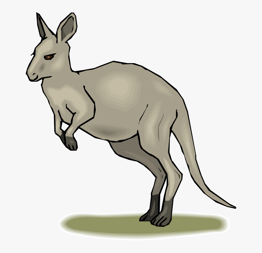 Habitat Map Kangaroo Library Png Images Clipart - Eastern Grey Kangaroo ...