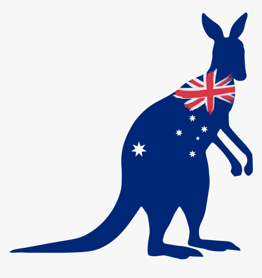 Australian Kangaroo Png, Transparent Png, Free Download