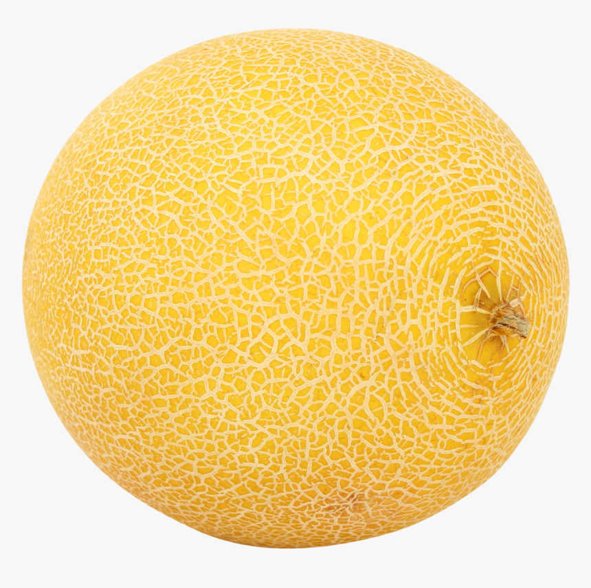 Grab And Download Melon Png Image - Melon Png, Transparent Png, Free Download