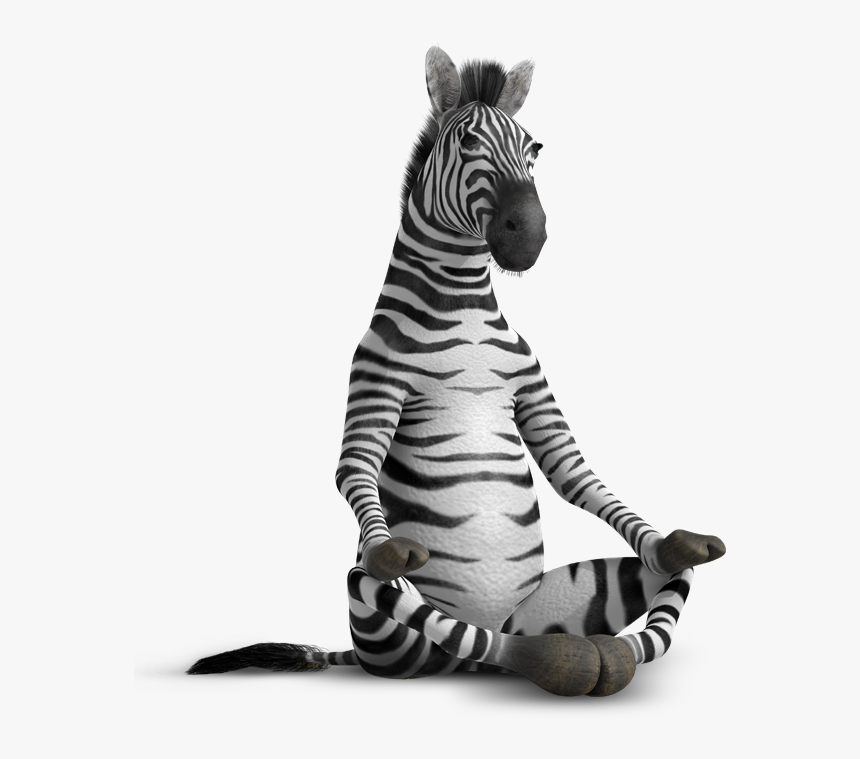 Zebra Pen Zen, HD Png Download, Free Download