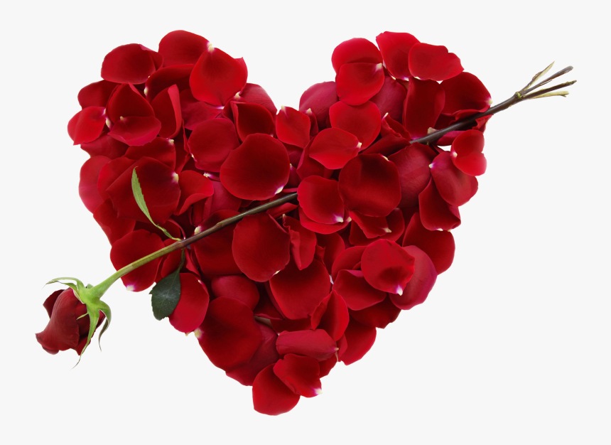 Transparent Real Heart Png - Valentines Day Flower Heart, Png Download, Free Download