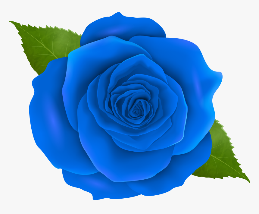 China-rose, HD Png Download - kindpng