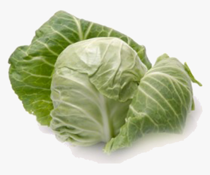 Download Cabbage Png - Cabbage Definition, Transparent Png, Free Download