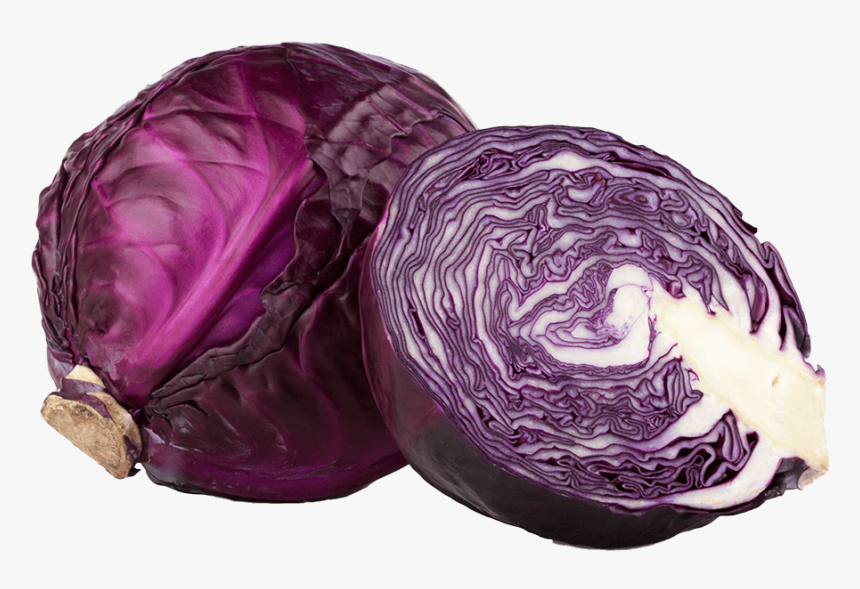 Red Cabbage Png - Red Cabbage Image Png, Transparent Png, Free Download