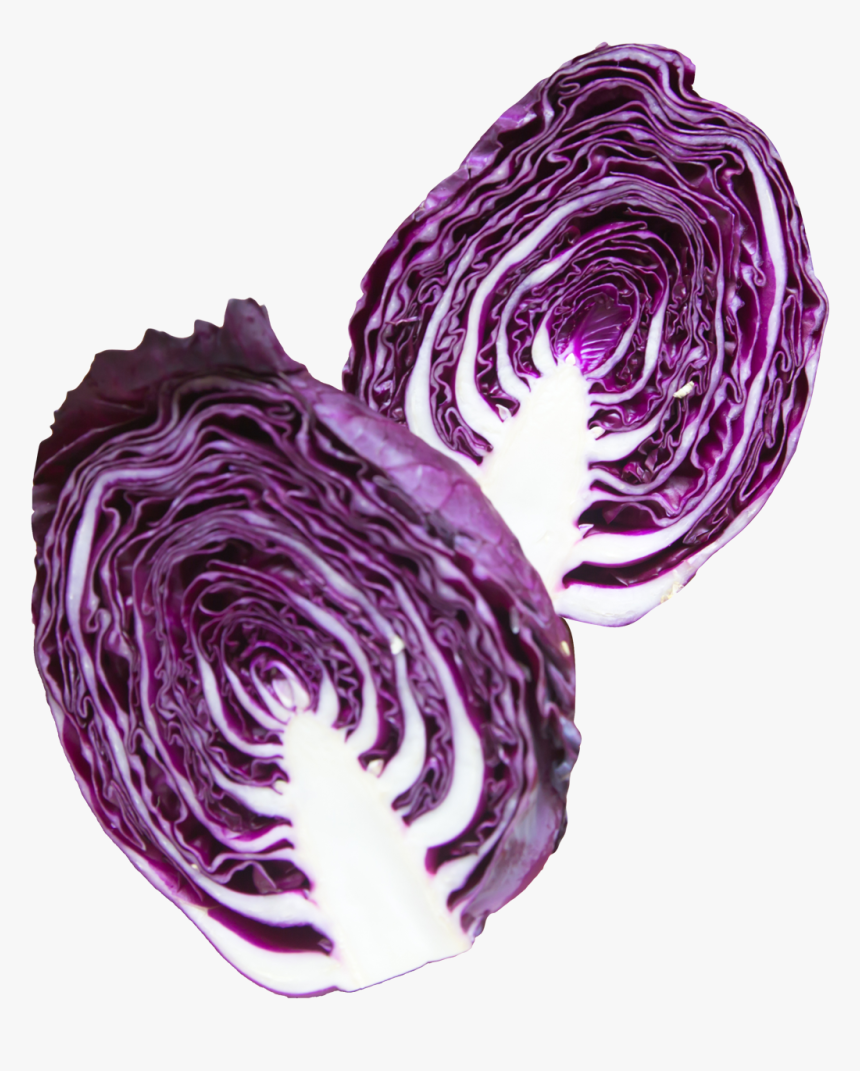 Purple Cabbage Png, Transparent Png, Free Download