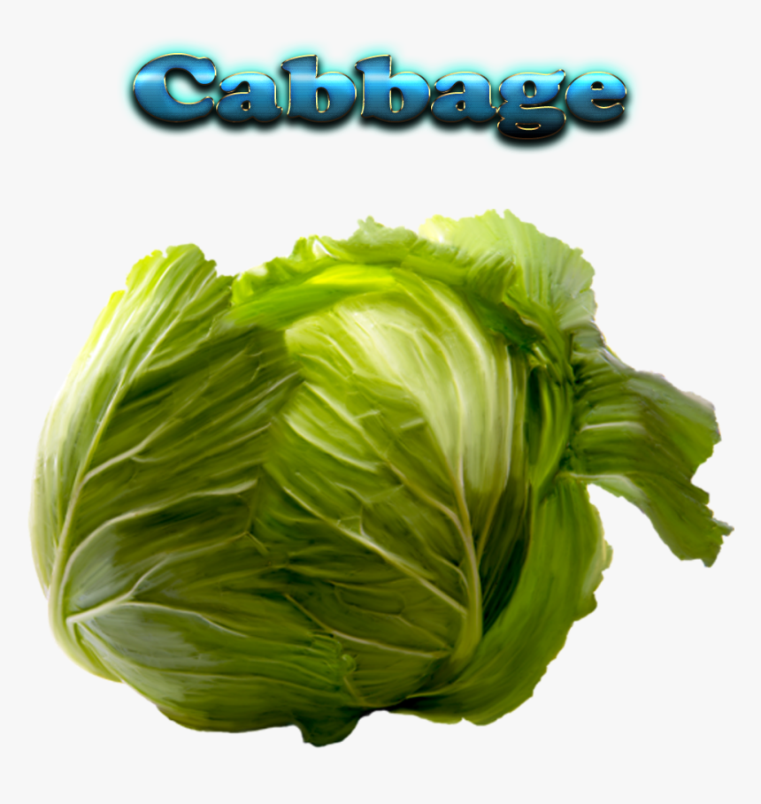 Cabbage Free Download Png - Brussels Sprout, Transparent Png, Free Download