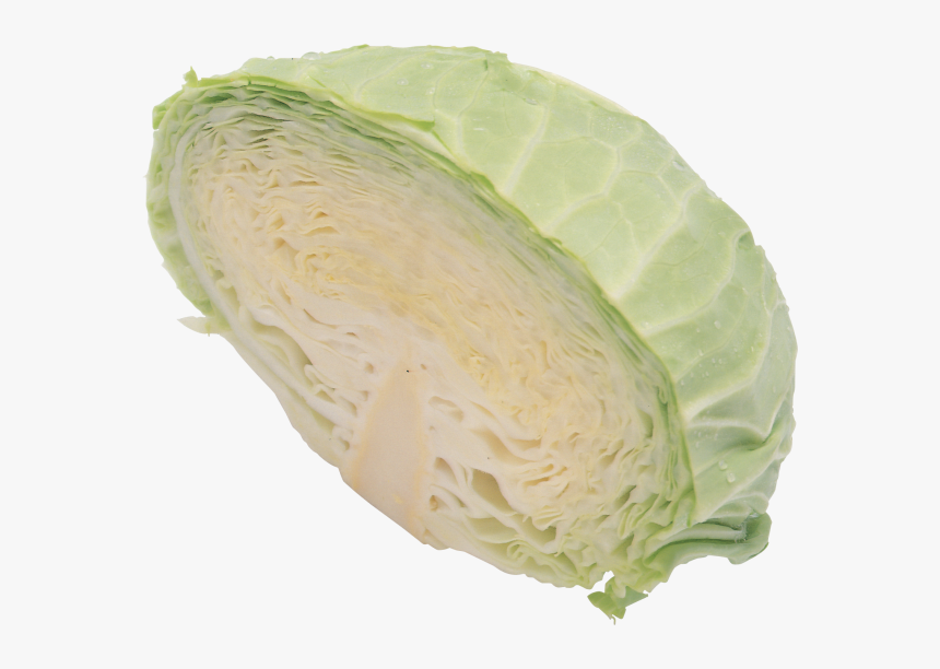 Cabbage Png Free Image Download - Cabbage, Transparent Png, Free Download