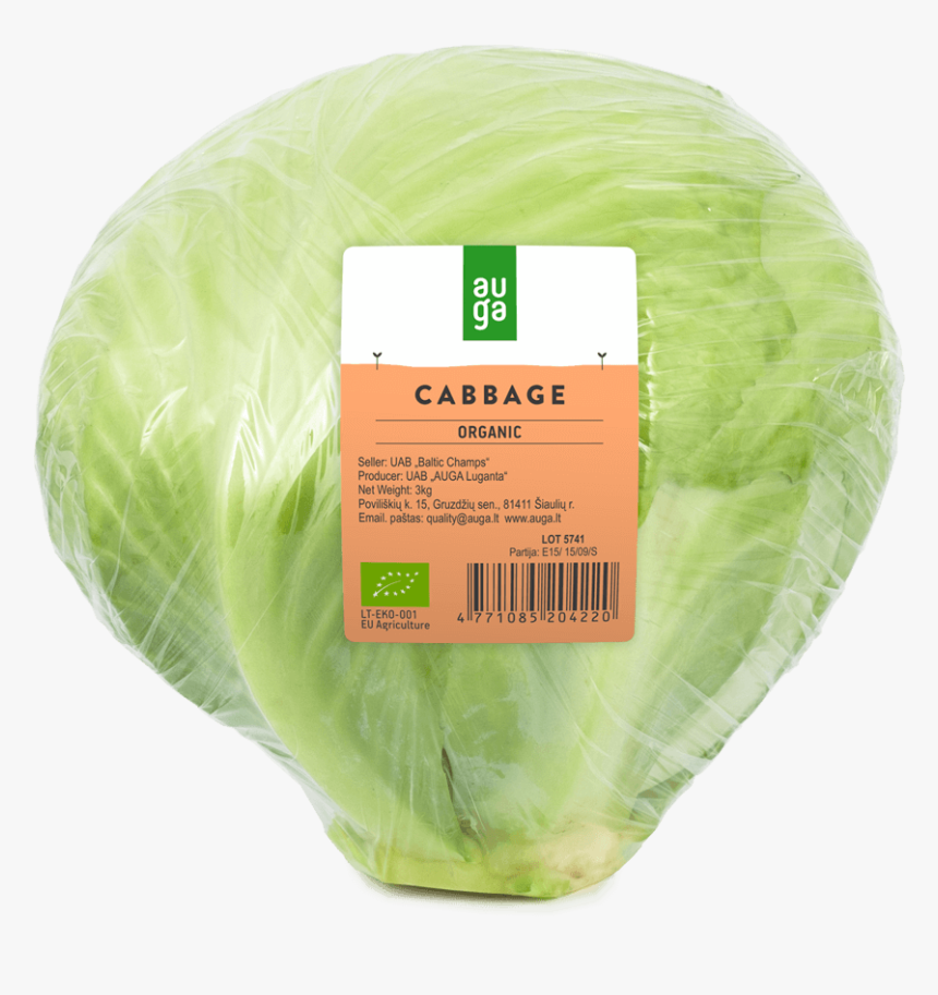 Iceburg Lettuce, HD Png Download, Free Download