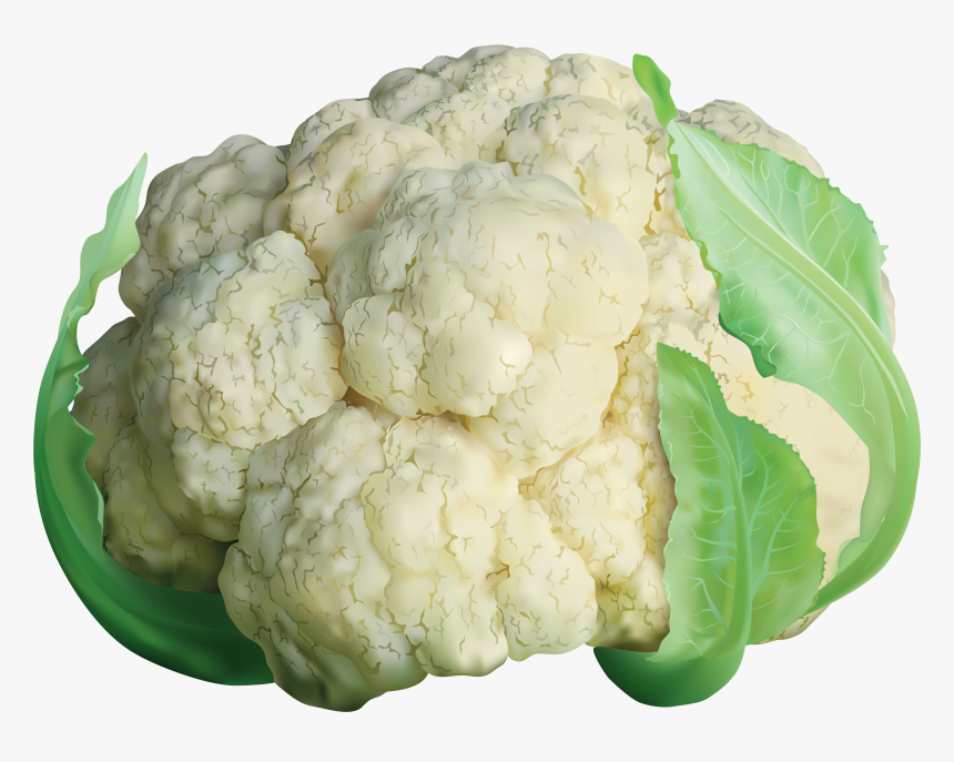 Cabbage Clipart Cauliflower - Cauliflower Png, Transparent Png, Free Download