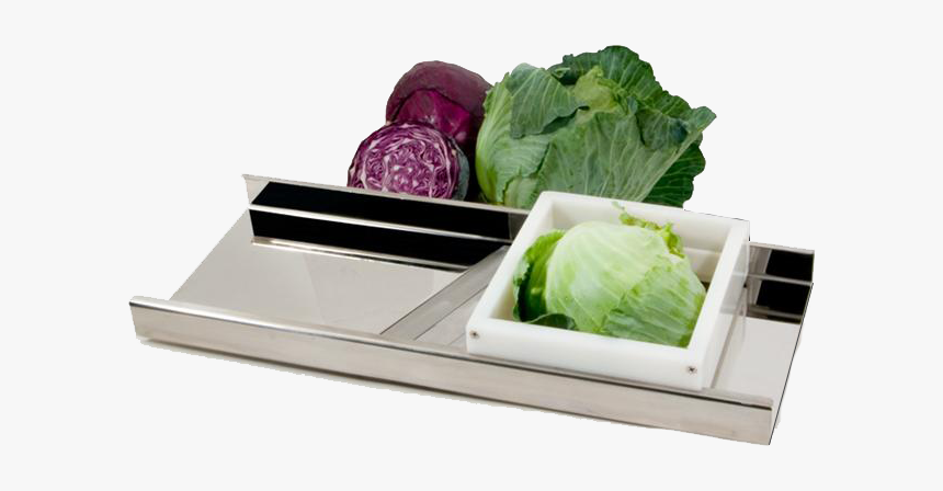 Stainless Steel Cabbage Cutter & Shredder - Cabbage, HD Png Download, Free Download