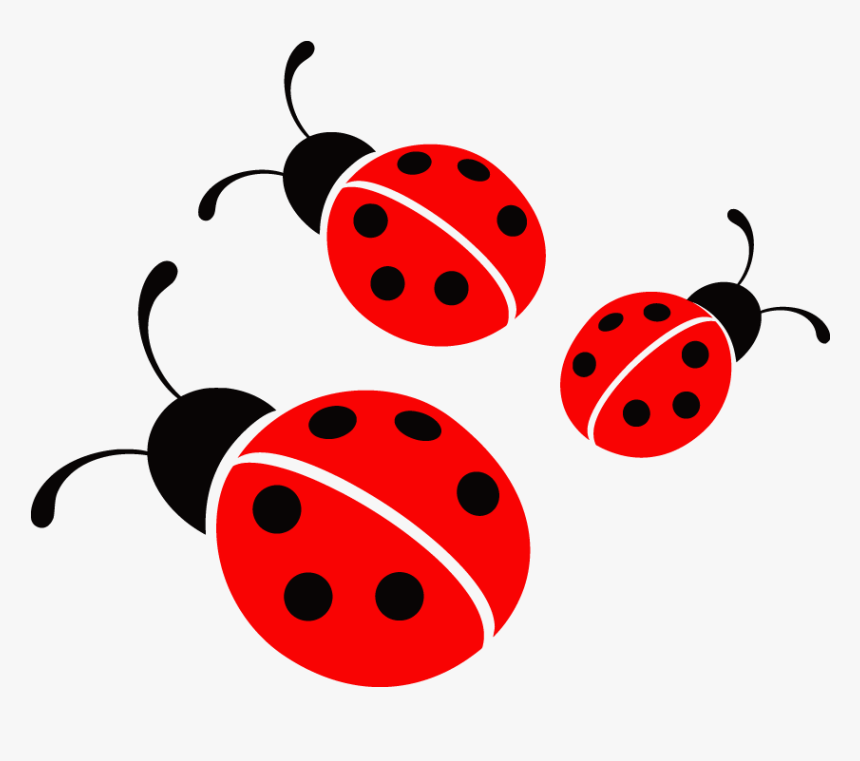 Ladybug Vector Image - Ladybug Png, Transparent Png - kindpng
