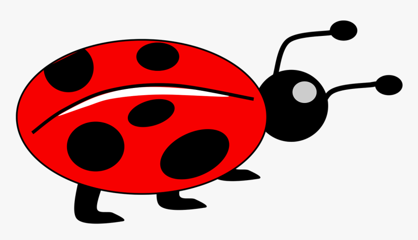 Download Red Ladybug Png Free Download - Bug Picture For Kids, Transparent Png, Free Download