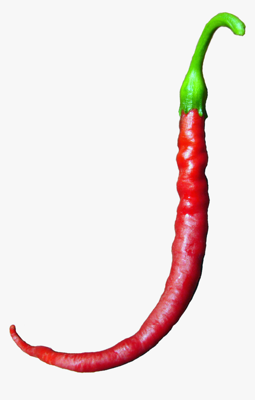 Bird's Eye Chili, HD Png Download, Free Download