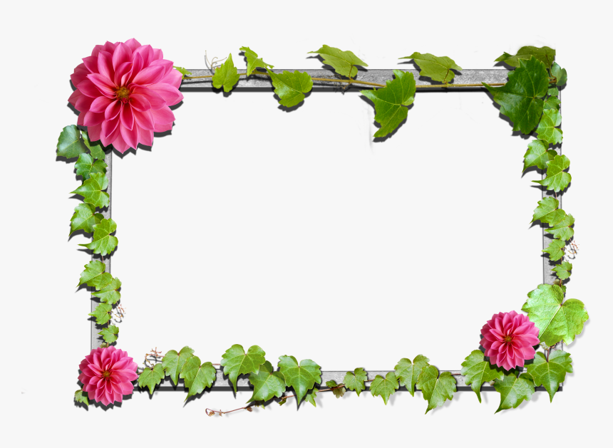 Clip Art Flower Frame Clipart - Flower Frame Png Clipart, Transparent Png, Free Download