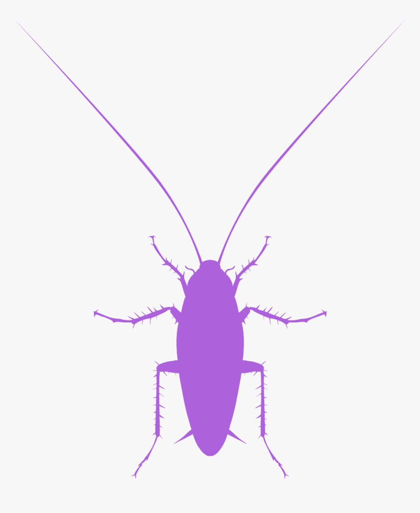 Silueta De Cucaracha, HD Png Download, Free Download