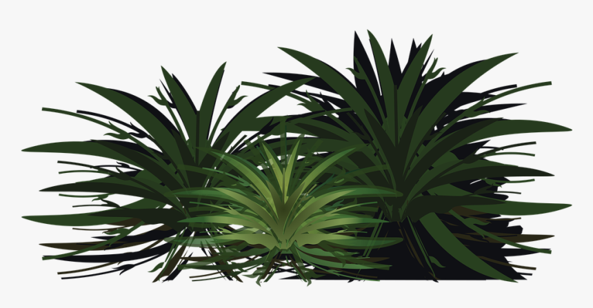 Palm Tree, Wood, Paper, Leaves, Plant, Bush, Foliage - ต้นไม้ พุ้ ม Png, Transparent Png, Free Download