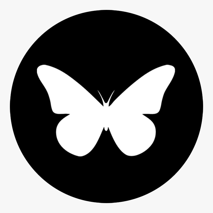 Butterfly Playing Cards Black - Logo Twitter Blanco Png, Transparent Png, Free Download