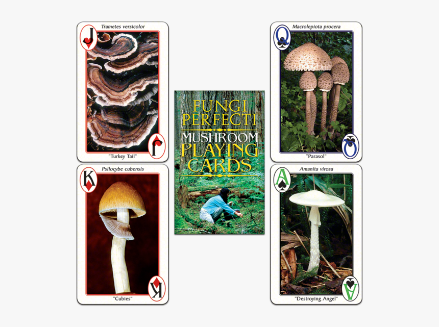 Fp"s Original Mushroom Playing Cards"

 
 Data Rimg="lazy"
 - Mushroom Playing Cards, HD Png Download, Free Download