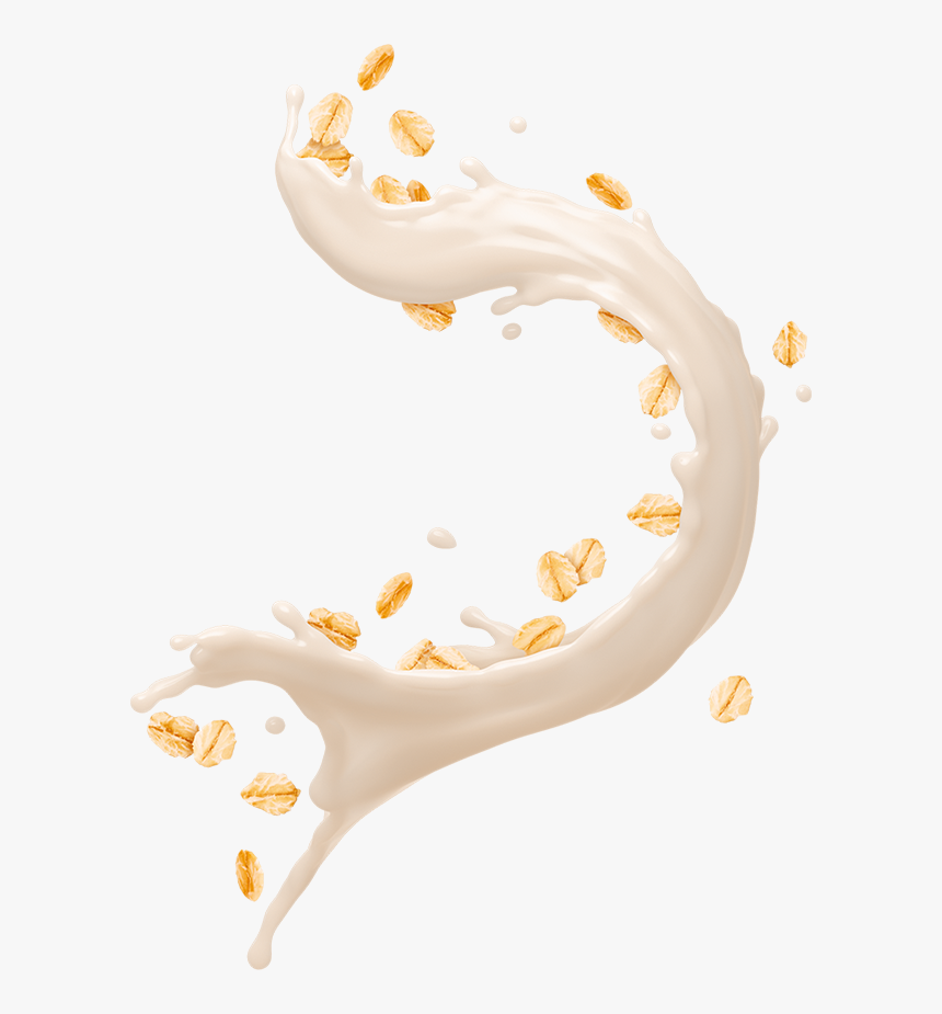 Transparent Png Oat Splash, Png Download, Free Download