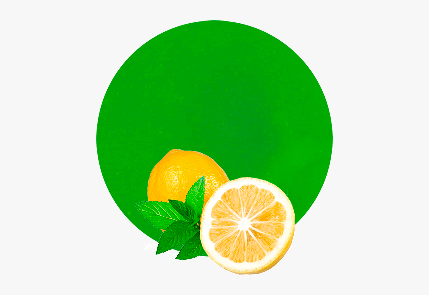 Mint And Lemon Logo, HD Png Download, Free Download