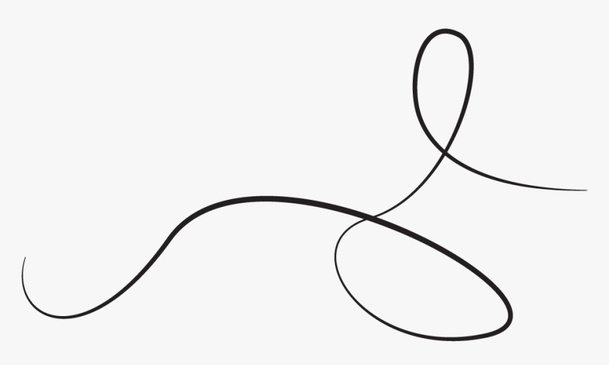 Squiggly Line Drawn By Illustrator Line Art, HD Png Download kindpng