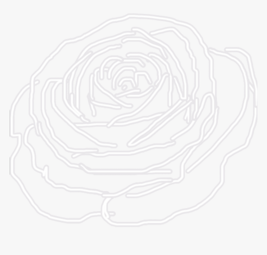 Transparent Rose Outline Png - Illustration, Png Download, Free Download