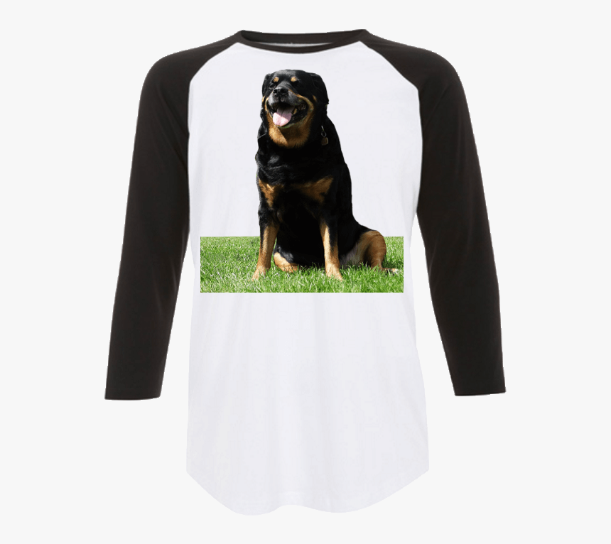 Sitting Rottweiler Baseball Shirt - Greater Swiss Mountain Dog, HD Png Download, Free Download