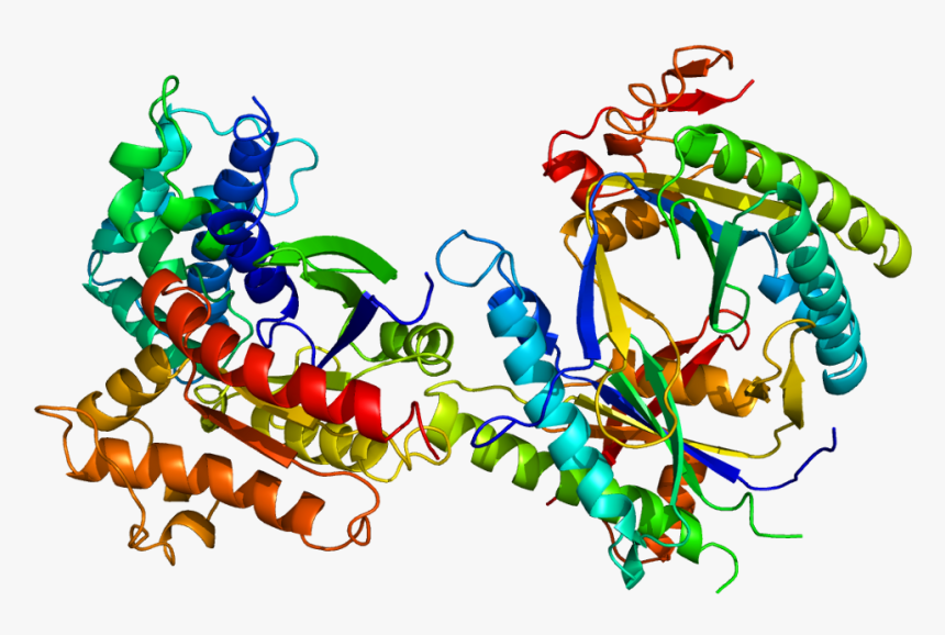 Protein Gnas Pdb 1azs - Protein Gnas, HD Png Download, Free Download