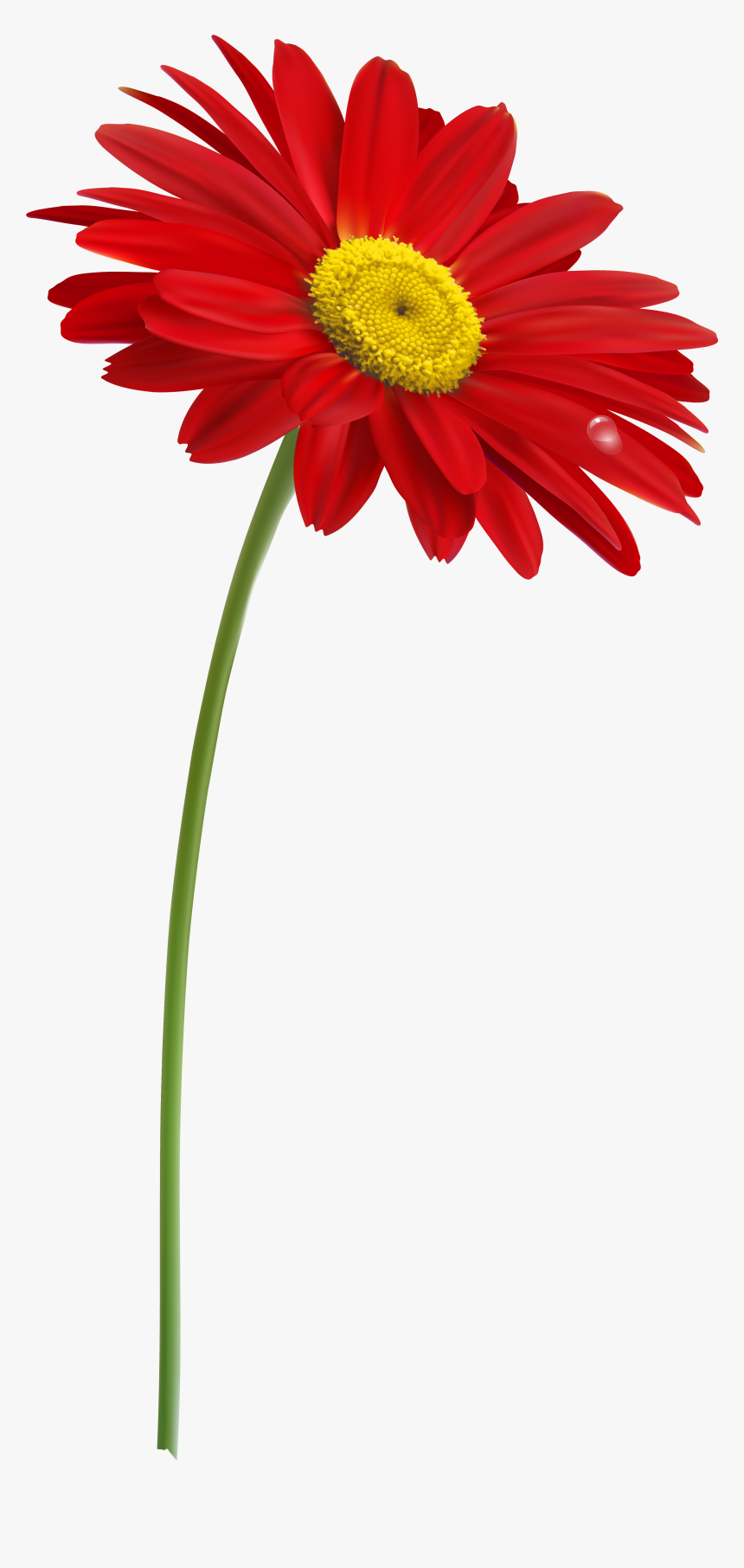 Flower Stem Png - Flower With Stem Png, Transparent Png, Free Download