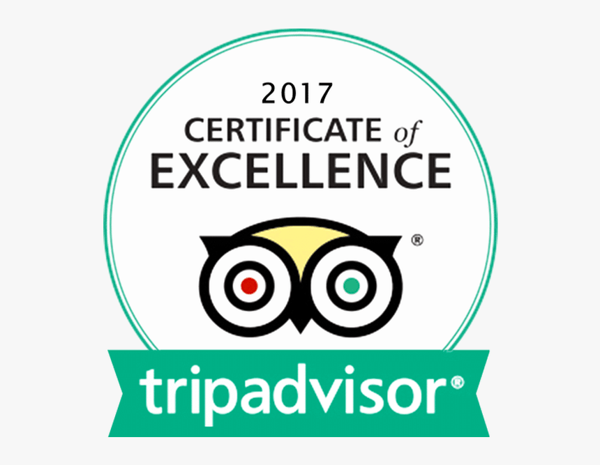 Tripadvisor Certificate Of Excellence 2019 Logo, HD Png Download, Free Download