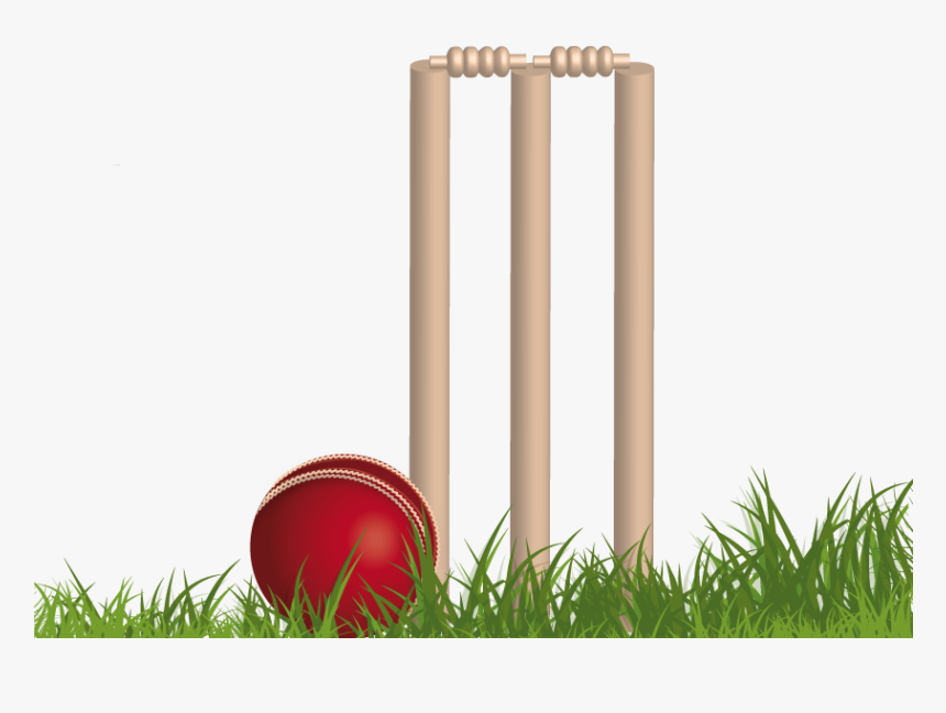 Cricket Png Background Image - Background Cricket Images Png, Transparent Png, Free Download