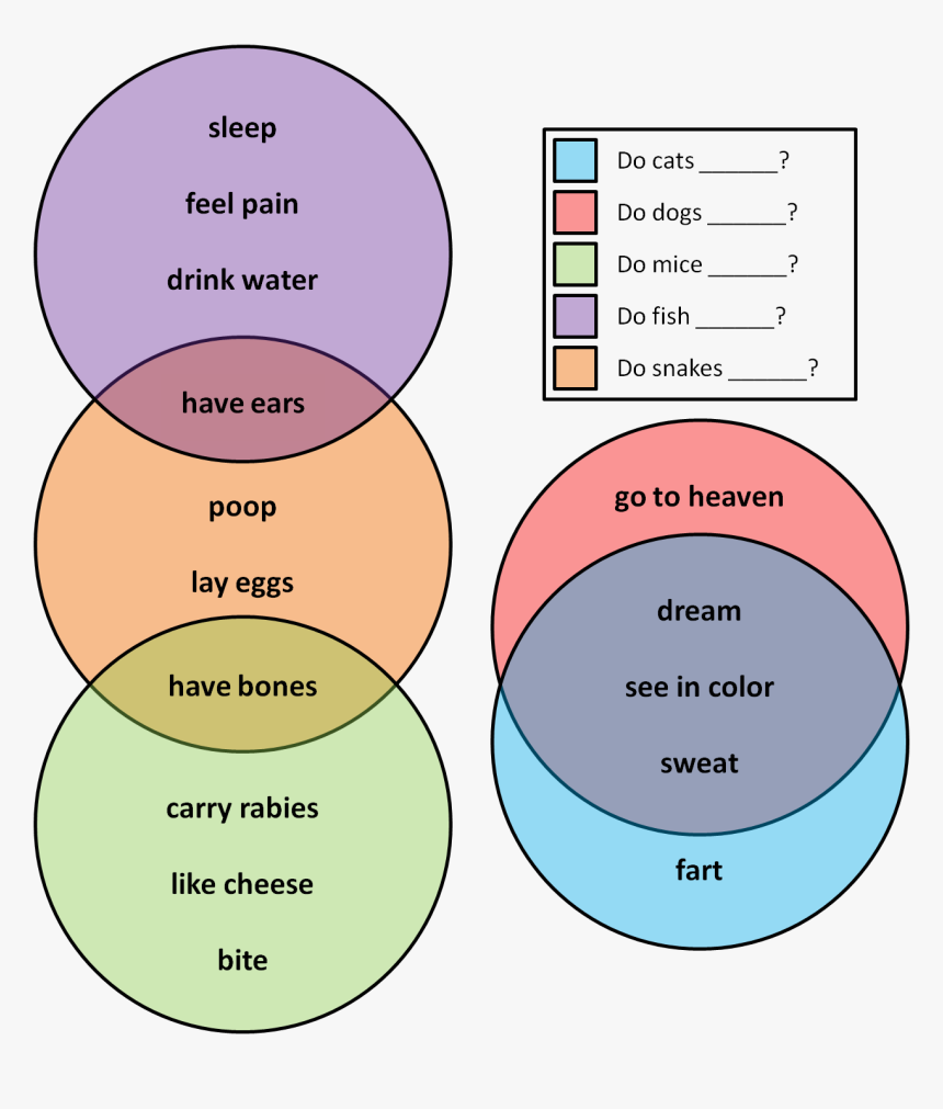 Snake And Worm Venn Diagram, HD Png Download, Free Download