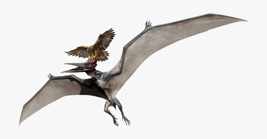 Jurassic World Pteranodon Clipart, HD Png Download, Free Download