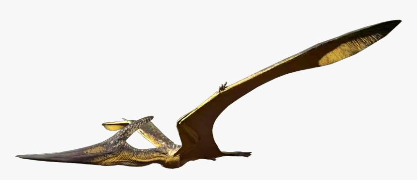 The Isle Wikia - Pteranodon Png, Transparent Png, Free Download