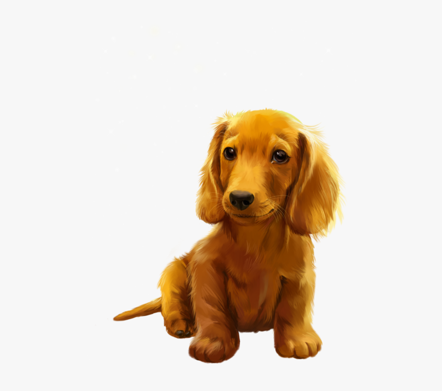 Kajenna Boo 7 - Companion Dog, HD Png Download, Free Download