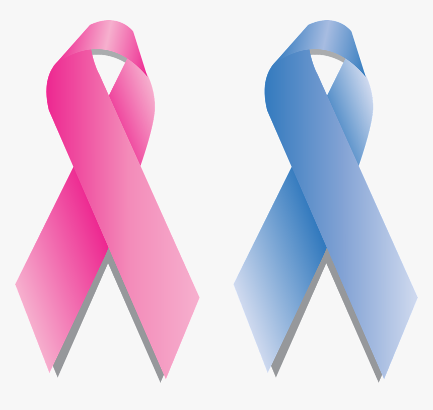 Teal And Purple Ribbons, HD Png Download - kindpng