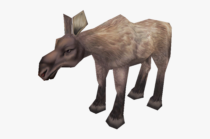 Burro, HD Png Download, Free Download