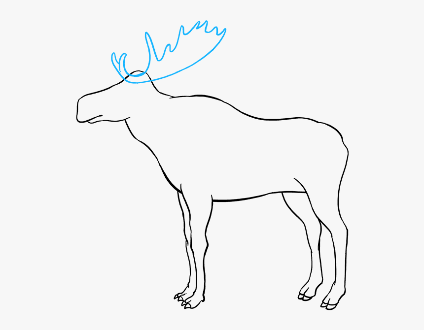 Transparent Moose Head Png - Line Art, Png Download, Free Download