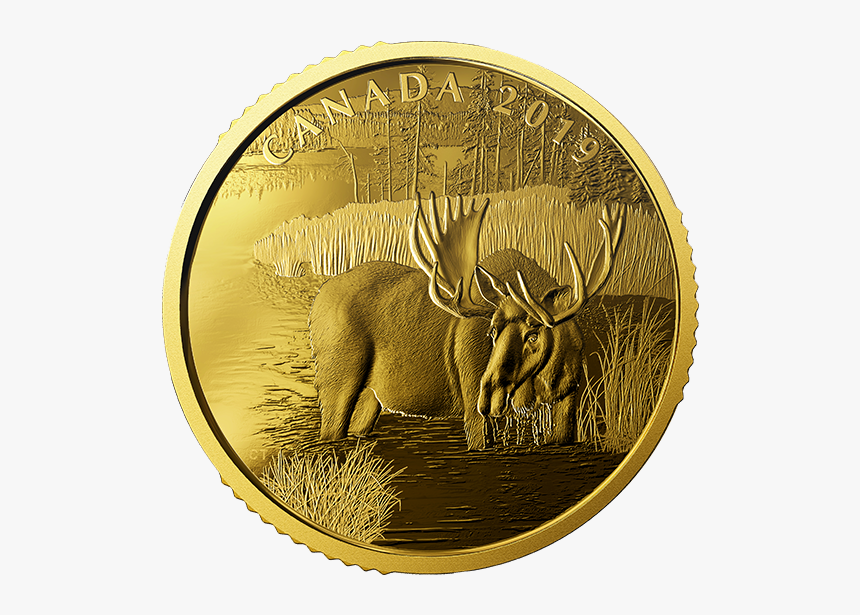 Gold Coin Canada 2019, HD Png Download, Free Download