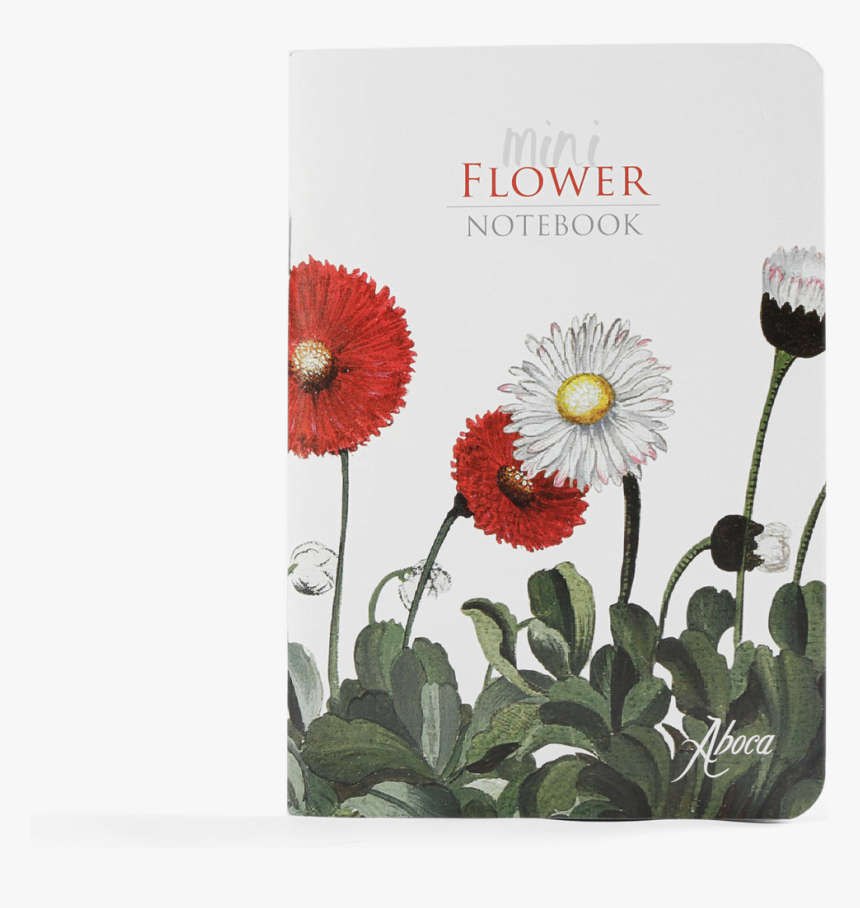 Picture Of Mini Flower Notebook Daisies - Barberton Daisy, HD Png Download, Free Download