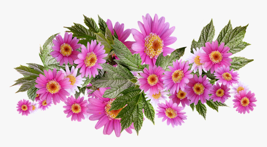 Daisies, Flowers, Arrangement, Summer, Blooms - Transparent Background Png Red Flowers, Png Download, Free Download