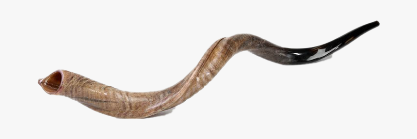 Shofar Horn Png Photos - Shofar Horn, Transparent Png, Free Download