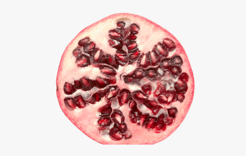 Pomegranate Download Transparent Png Image - Transparent Pomegranate Png, Png Download, Free Download