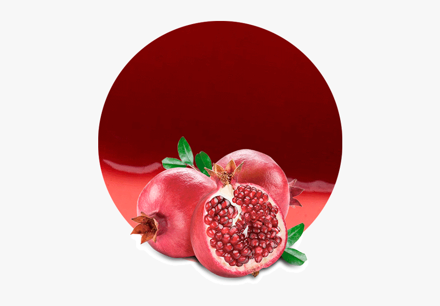 Pomegrante Png, Transparent Png, Free Download