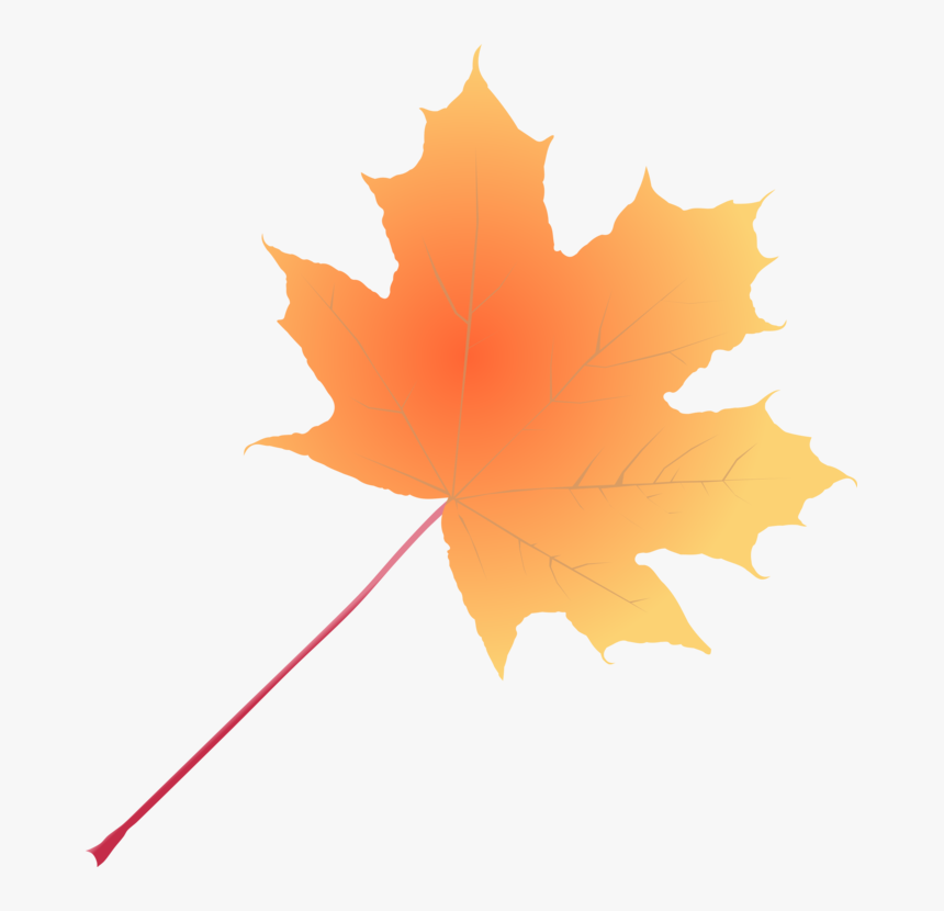 Plant,leaf,tree - Maple Leaf, HD Png Download, Free Download