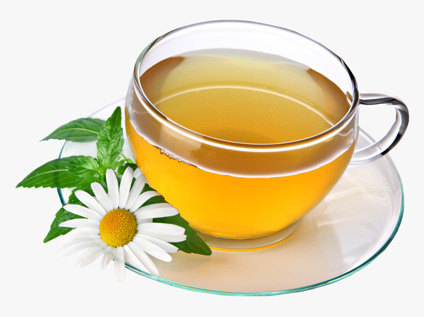 Transparent Green Tea Clipart - Chamomile Tea Png, Png Download, Free Download